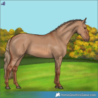 Horse Color:Red Dun 
