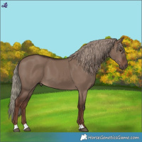 Horse Color:Liver Red Dun Mushroom