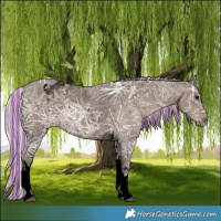 Horse Color:Void Painted Silver Black Ice Tobiano
