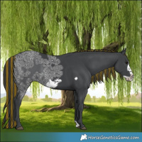 Horse Color:Painted White Spotted Black Ice Frame 