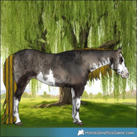 Horse Color:Painted White Spotted Blue Onyx Ice 