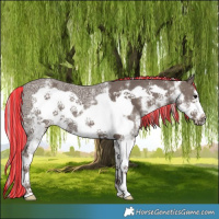 Horse Color:Painted White Spotted Silver Black Ice Frame 