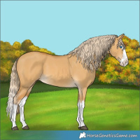 Horse Color:Palomino Dun Splash