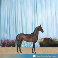 Horse Color:Brown 