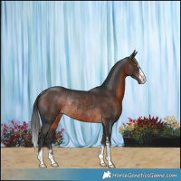 Horse Color:Brown Rabicano 