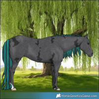 Horse Color:Painted Black Ice 