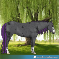 Horse Color:Painted Black Ice 
