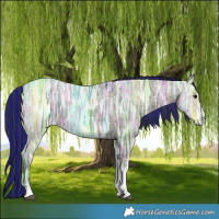 Horse Color:Painted Grullo Ice Tobiano 