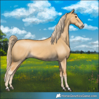 Horse Color:Palomino Dun Splash 