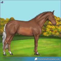 Horse Color:Chestnut Mushroom