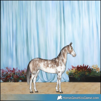 Horse Color:Liver Red Dun Sabino Rabicano Brindle 