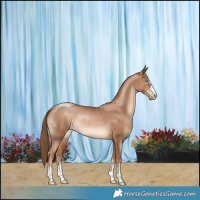 Horse Color:Liver Chestnut Pearl Rabicano 