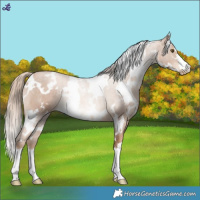 Horse Color:White Spotted Liver Chestnut Pearl 