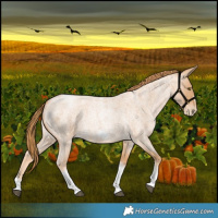 Horse Color:Red Roan Pearl Tobiano Frame 