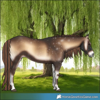Horse Color:Painted White Spotted Liver Red Onyx