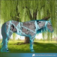 Horse Color:Void Thunderstruck White Spotted Liver Chestnut Ice