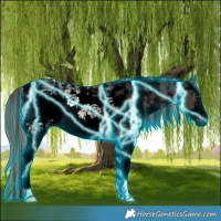 Horse Color:Void Thunderstruck Liver Chestnut Ice Sabino Frame 