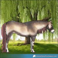 Horse Color:Painted White Spotted Liver Red Onyx 