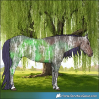 Horse Color:Painted Liver Chestnut Ice 