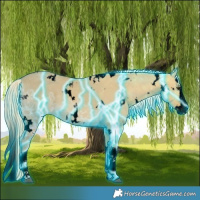 Horse Color:Void Thunderstruck White Spotted Palomino Ice Dun Splash 