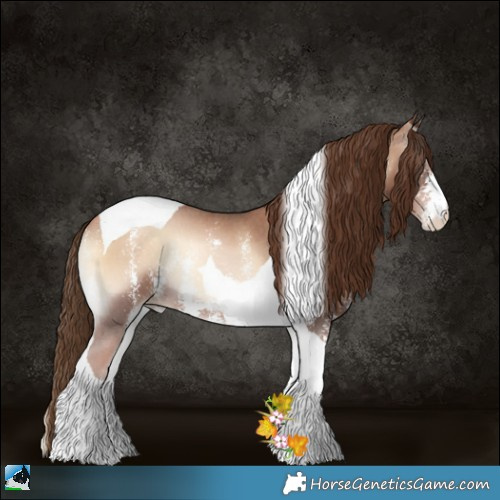 Horse Color:Liver Red Onyx Pearl Sabino Tobiano 