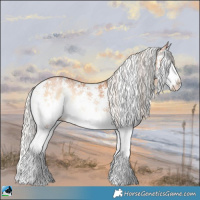 Horse Color:Silver Bay Pearl Onyx Sabino Splash 