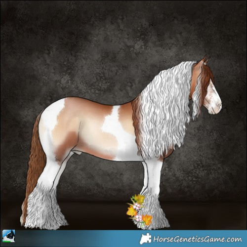 Horse Color:Brown Pearl Onyx Sabino Tobiano 