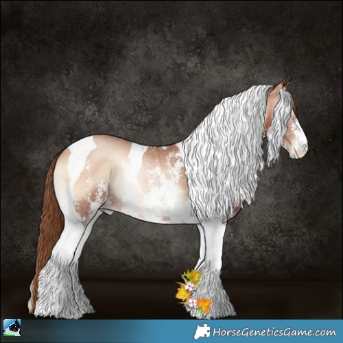 Horse Color:Brown Pearl Onyx Sabino Tobiano Rabicano 