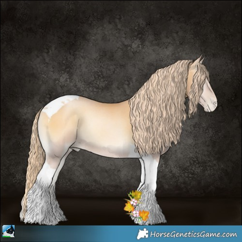 Horse Color:Red Onyx Pearl Tobiano Rabicano 