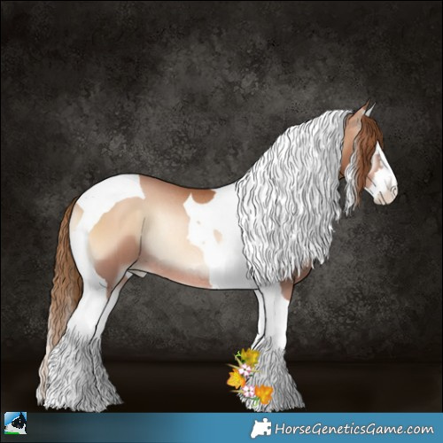 Horse Color:Red Onyx Pearl Sabino Splash Tobiano Rabicano 