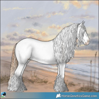 Horse Color:Bay Pearl Onyx Sabino Splash 