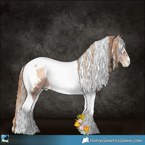 Horse Color:White Spotted Red Onyx Pearl Tobiano Rabicano 