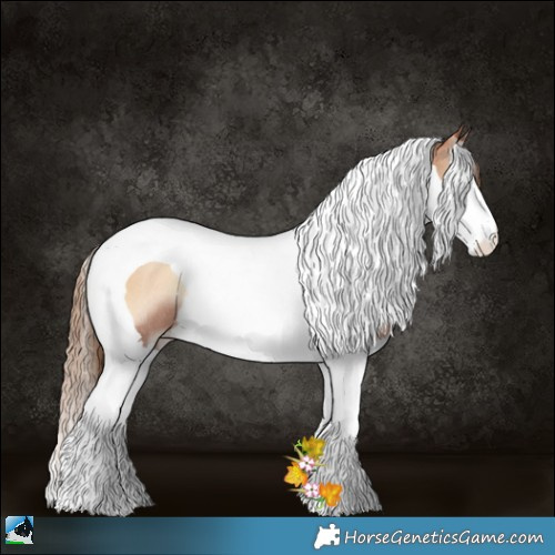 Horse Color:Red Onyx Pearl Splash Tobiano Rabicano 
