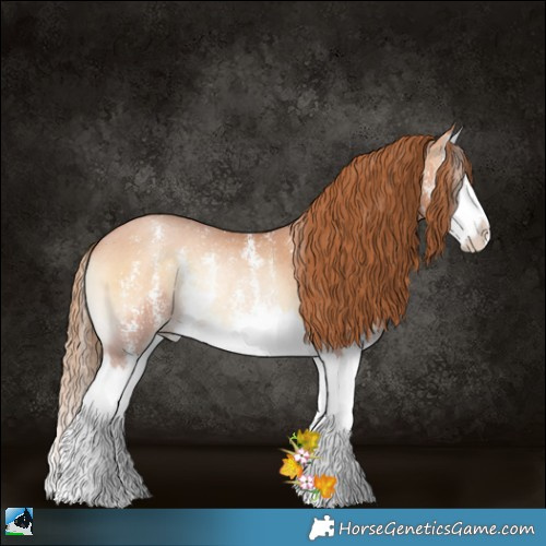Horse Color:Bay Pearl Onyx Sabino Splash Rabicano 