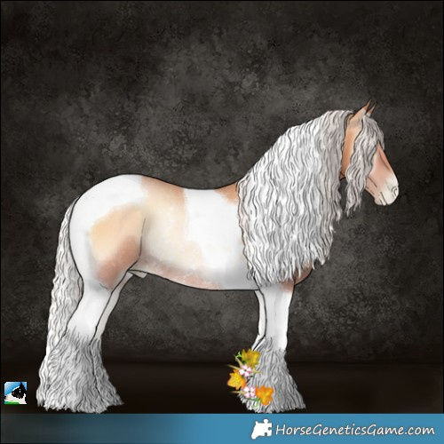Horse Color:Silver Bay Pearl Onyx Tobiano Rabicano 