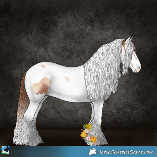 Horse Color:Brown Pearl Onyx Splash Tobiano Rabicano 