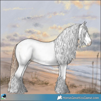 Horse Color:Bay Pearl Onyx Sabino Rabicano 