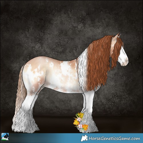 Horse Color:White Spotted Bay Pearl Onyx Sabino Splash 