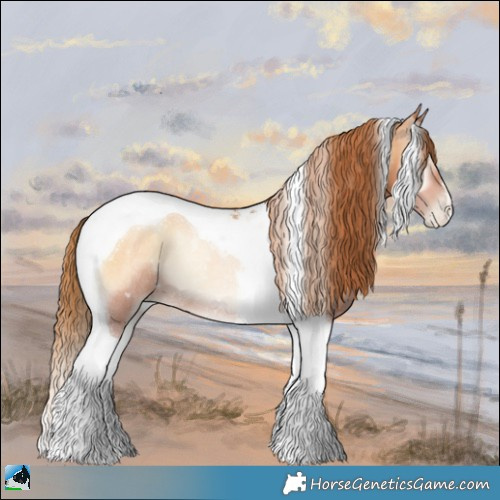 Horse Color:Bay Pearl Onyx Tobiano Rabicano 