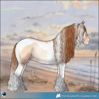 Horse Color:Bay Pearl Onyx Tobiano Rabicano