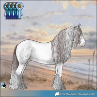 Horse Color:Chocolate Brown Chinchilla Ice Onyx Sabino Tobiano 