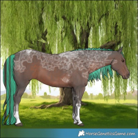 Horse Color:Painted Liver Chestnut Ice Tobiano 