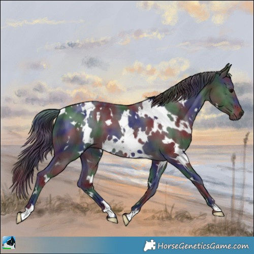 Horse Color:Nacre White Spotted Black 