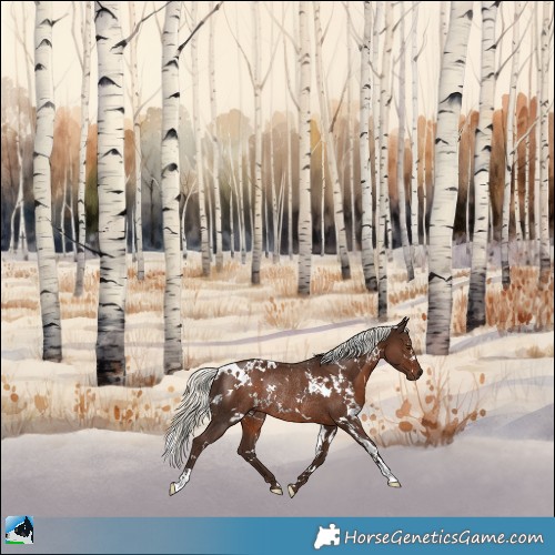 Horse Color:White Spotted Liver Chestnut Mushroom Rabicano 