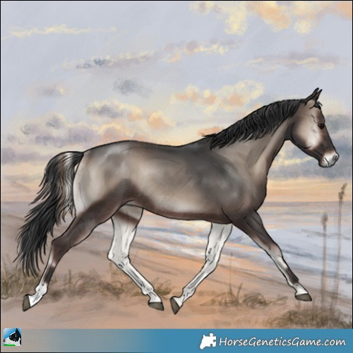 Horse Color:Blue Onyx Mushroom Rabicano 