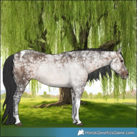 Horse Color:Brown Ice Dun Tobiano 