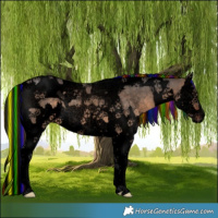 Horse Color:Void Painted Brown Dun Splash Tobiano 