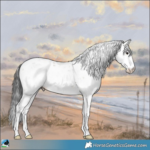 Horse Color:Brown Dun Sabino 