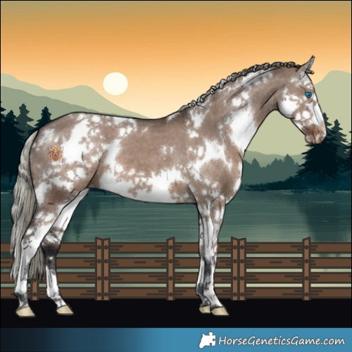 Horse Color:White Spotted Liver Red Dun Mushroom Splash Appaloosa