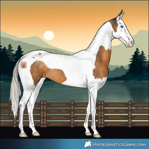 Horse Color:Chocolate Palomino Splash Tobiano 